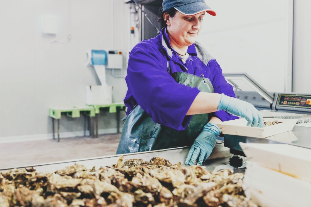 Le Ostriche di Goro all’agribar Via Vigne 38